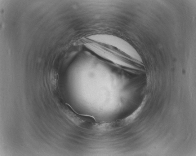 X0000069360186200606091610