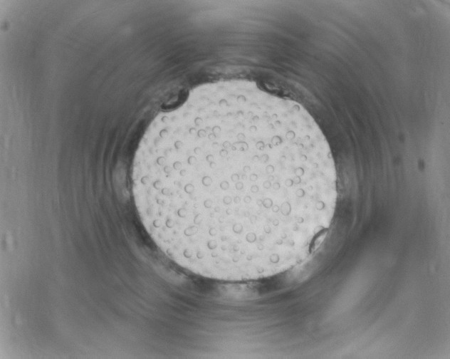 X0000069360187200606091610