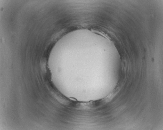 X0000069360188200606091610