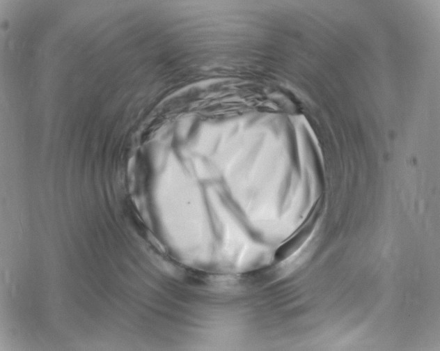 X0000069360192200606091610