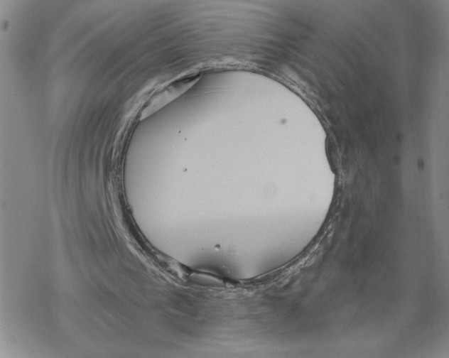 X0000069360193200606091609