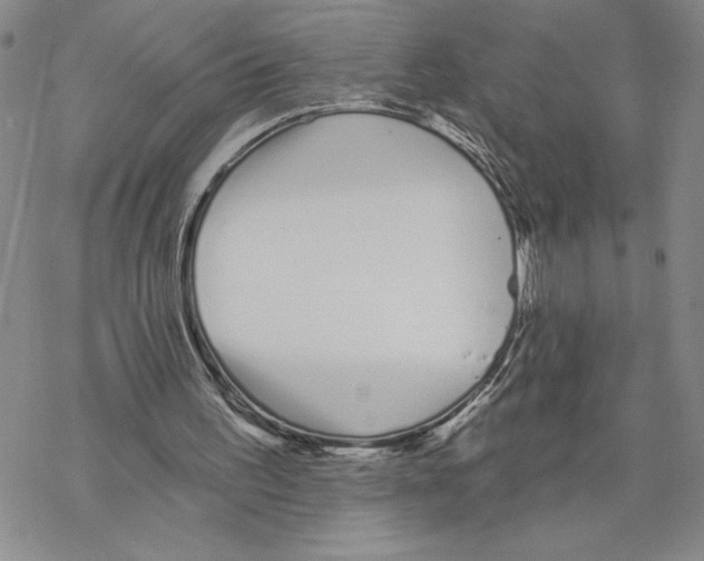 X0000069360195200606091609