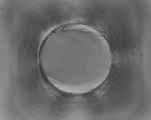 X0000069360196200606091609