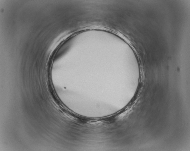 X0000069360199200606091609