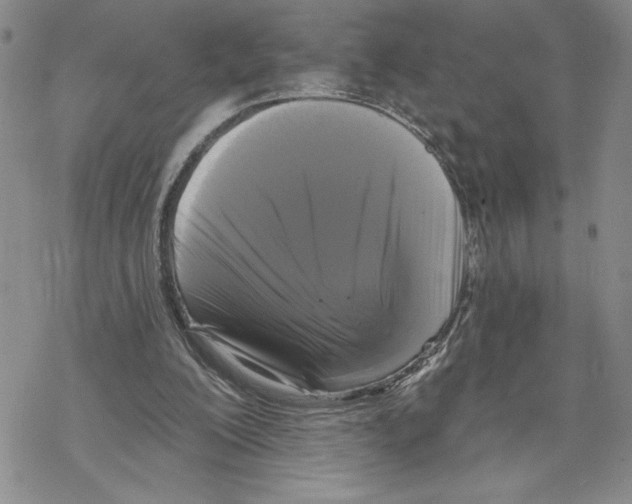 X0000069360200200606091609