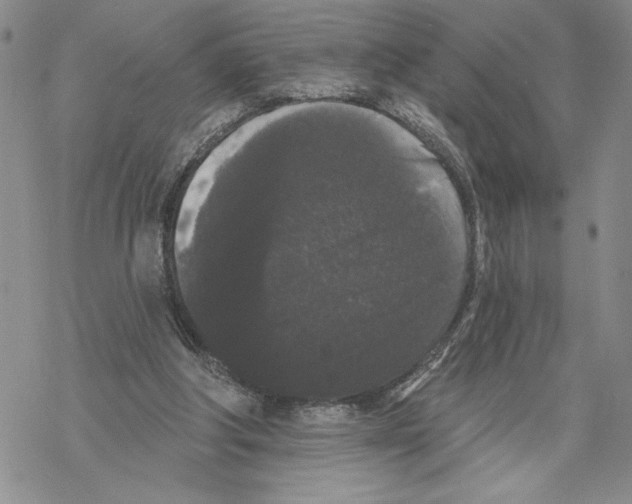 X0000069360202200606091609