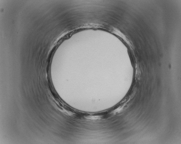 X0000069360203200606091609