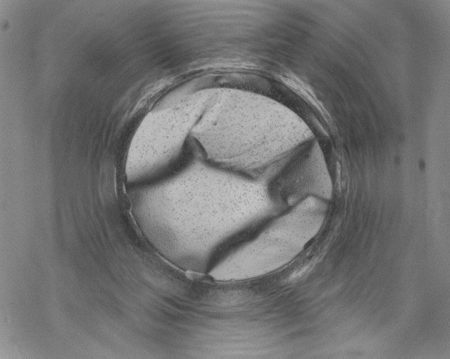 X0000069360205200606091609