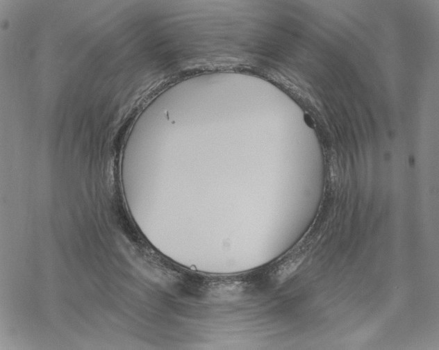 X0000069360206200606091609