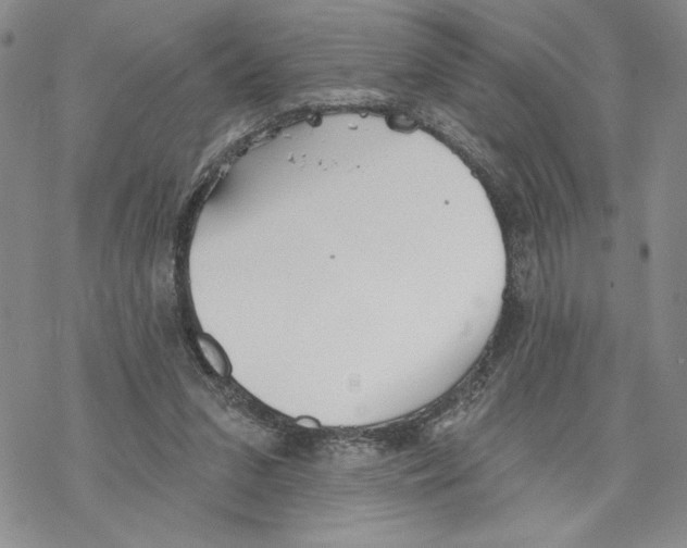 X0000069360207200606091609