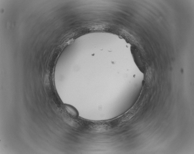 X0000069360209200606091609