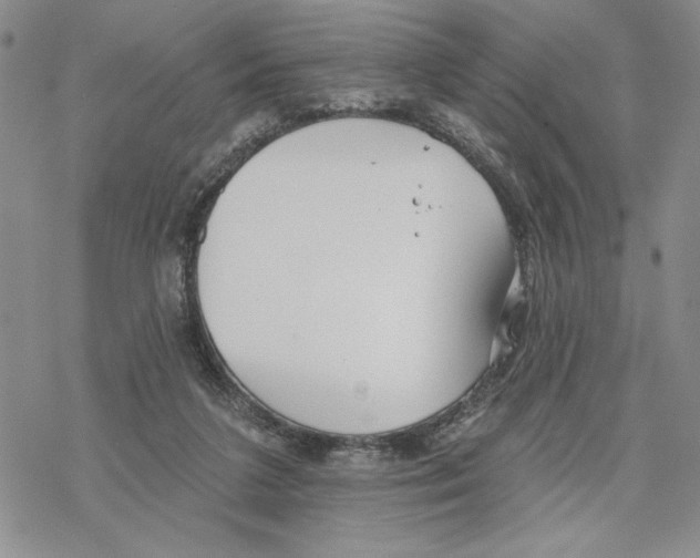 X0000069360211200606091609