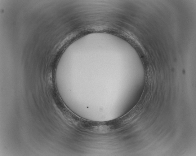 X0000069360212200606091609