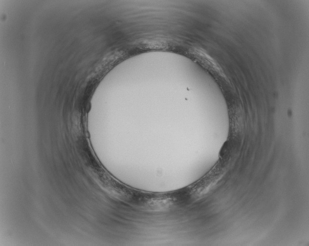 X0000069360213200606091609