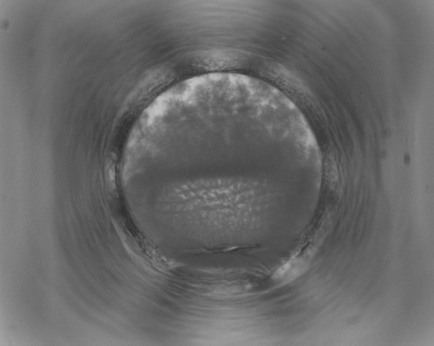 X0000069360214200606091609