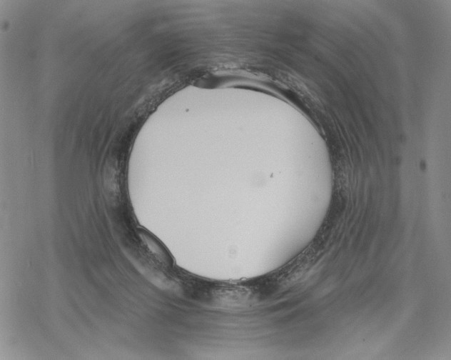 X0000069360215200606091609