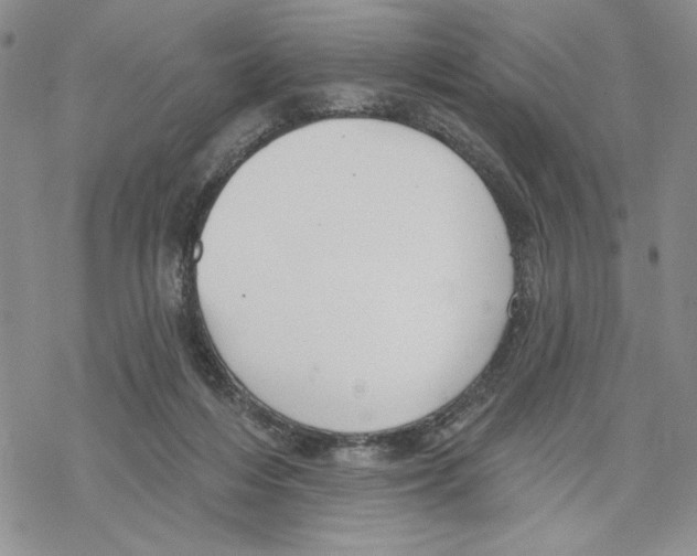 X0000069360216200606091609