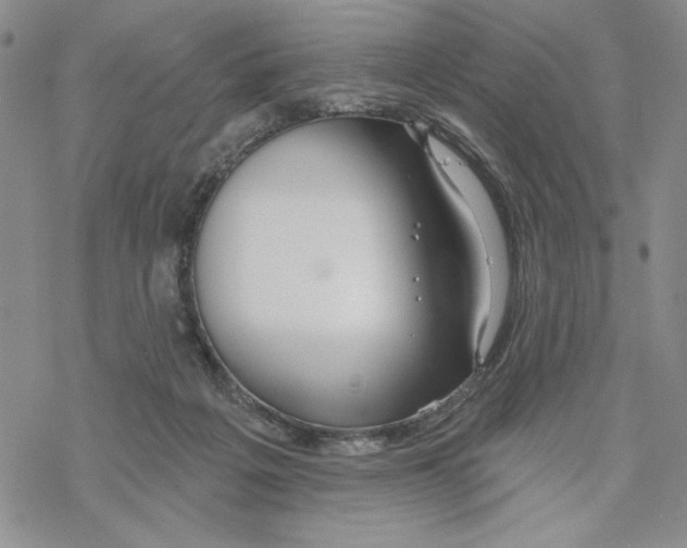 X0000069360217200606091609