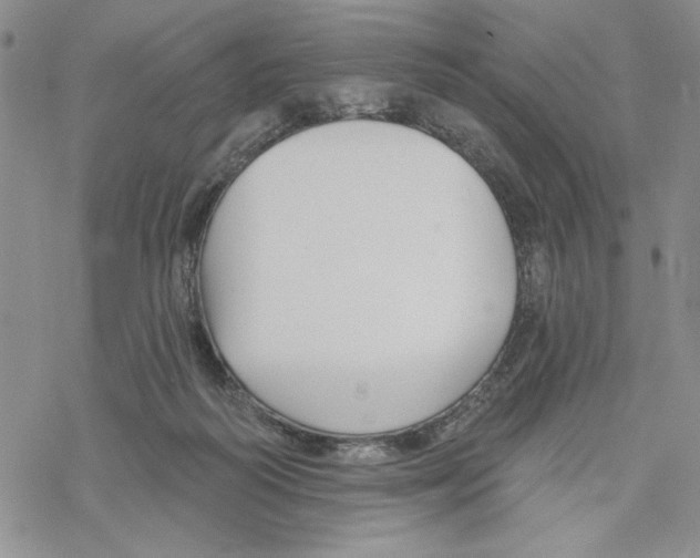 X0000069360218200606091609