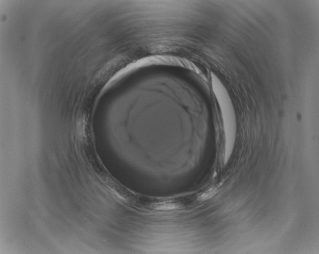 X0000069360219200606091609