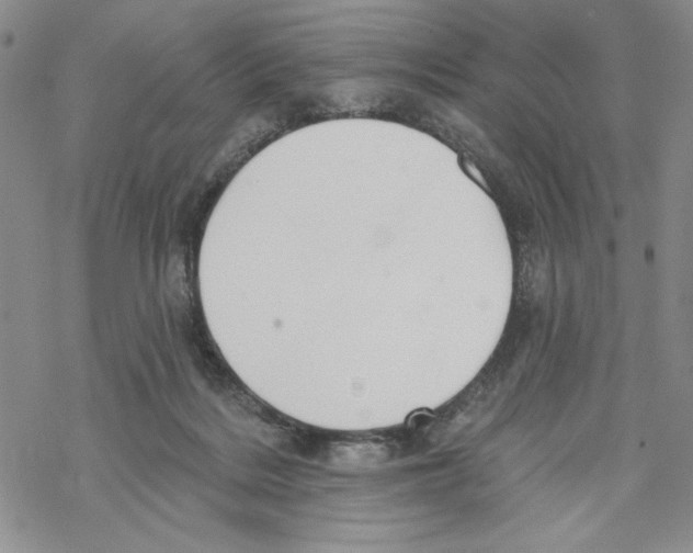 X0000069360220200606091609