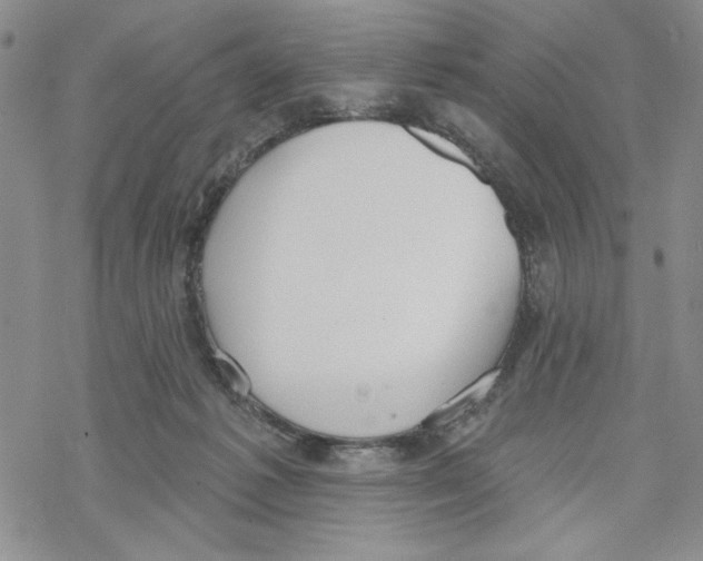 X0000069360221200606091609