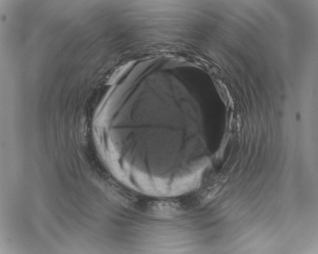 X0000069360223200606091609