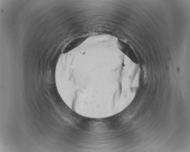 X0000069360224200606091609