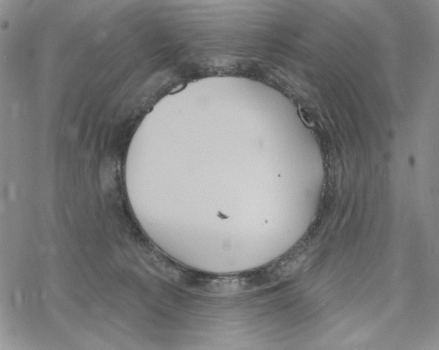 X0000069360225200606091609