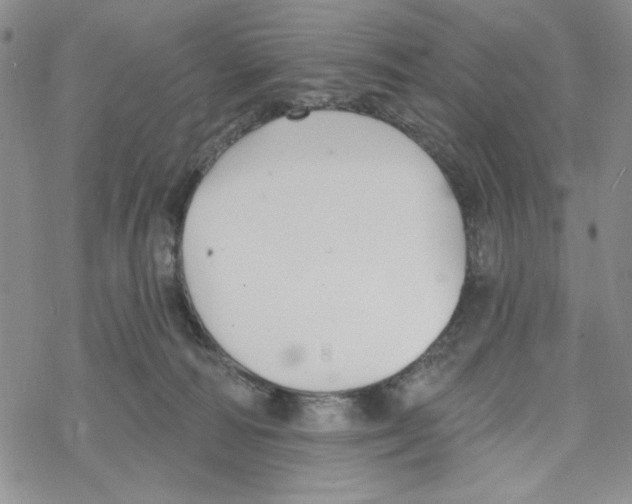 X0000069360226200606091609