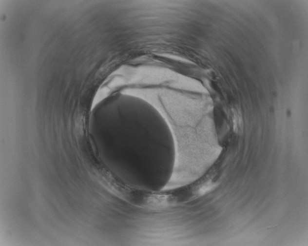 X0000069360227200606091609