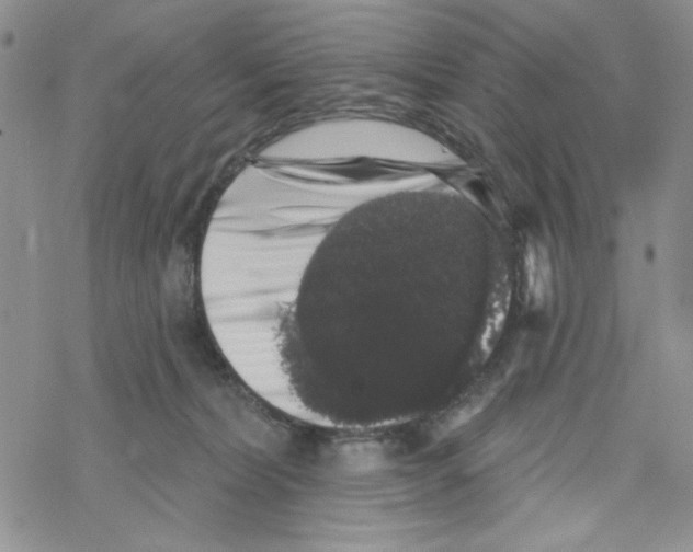 X0000069360228200606091609