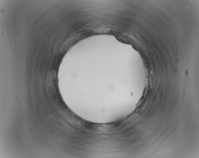 X0000069360229200606091609