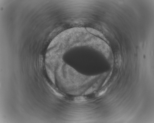 X0000069360231200606091609