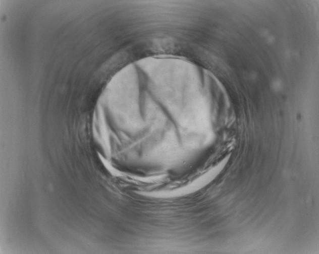 X0000069360233200606091609