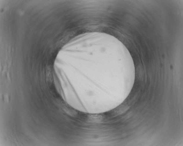 X0000069360234200606091609