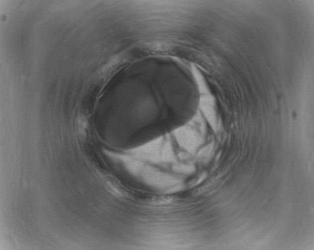 X0000069360235200606091609