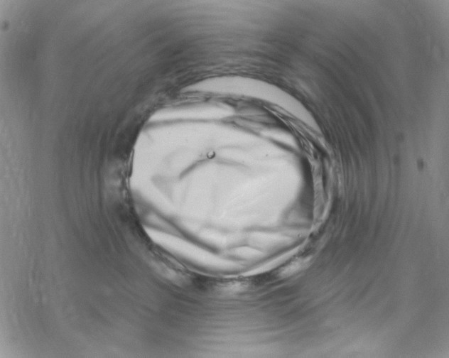 X0000069360237200606091609