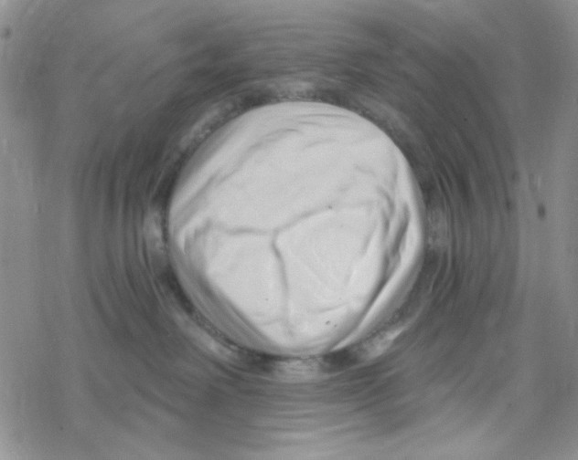 X0000069360238200606091609