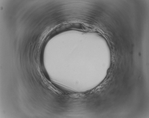 X0000069360241200606091608