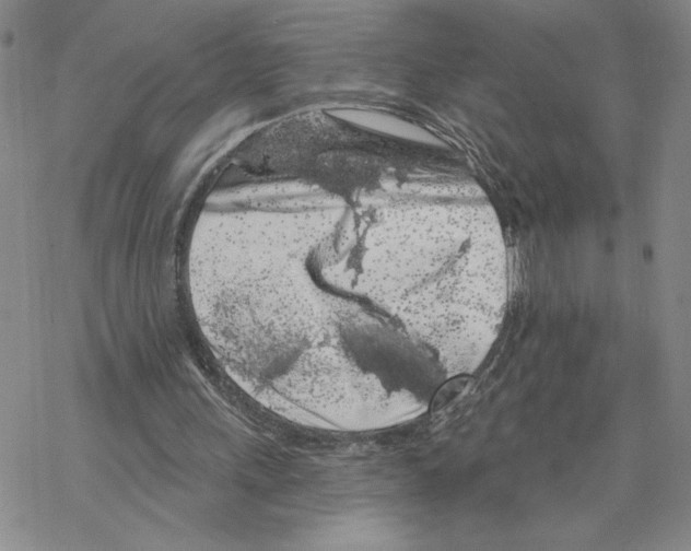 X0000069360243200606091608