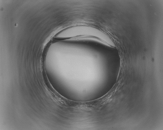 X0000069360244200606091608