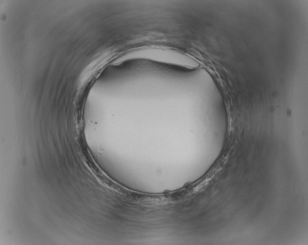 X0000069360245200606091608