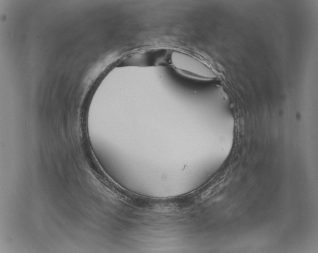 X0000069360248200606091608