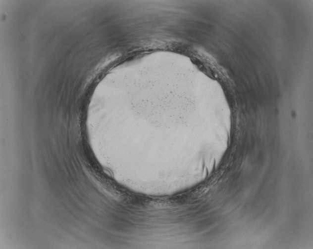 X0000069360250200606091608