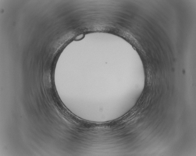 X0000069360251200606091608