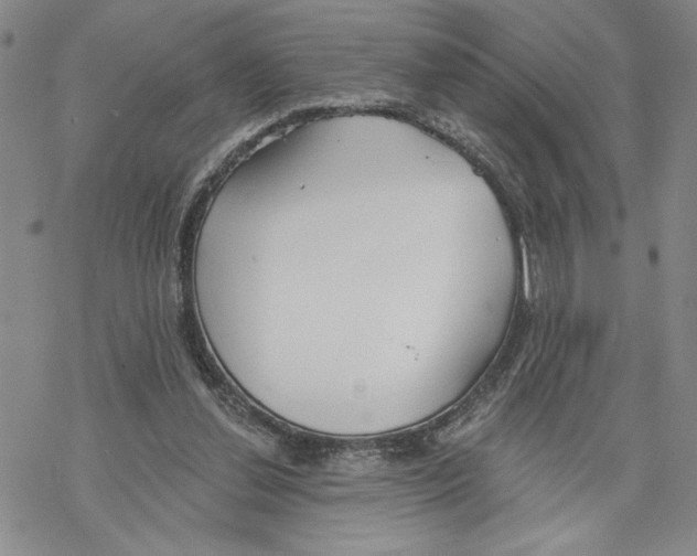 X0000069360252200606091608