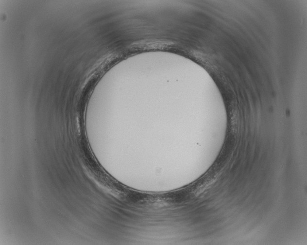 X0000069360254200606091608