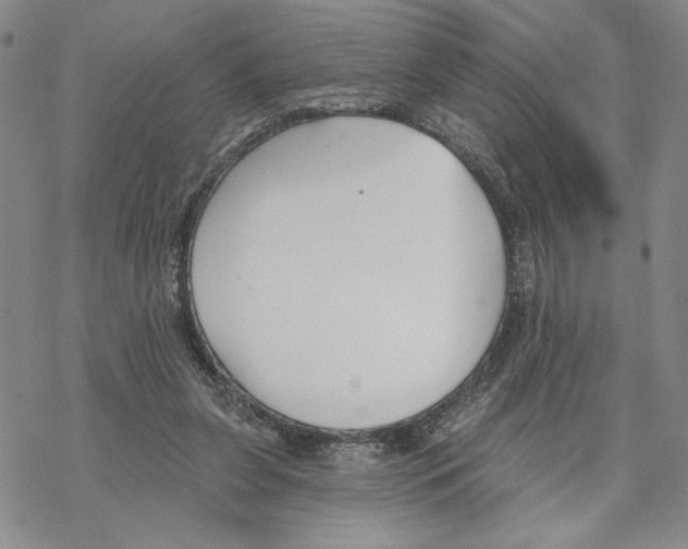 X0000069360255200606091608