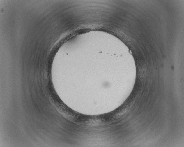 X0000069360256200606091608